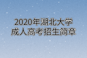 2020年湖北大学成人高考招生简章