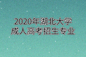 2020年湖北大学成人高考招生专业