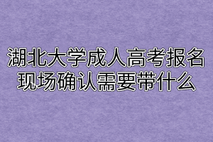 湖北大学成人高考报名现场确认需要带什么