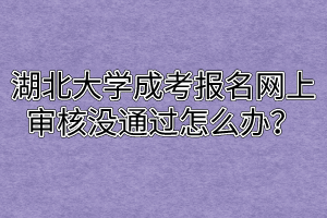 湖北大学成考报名网上审核没通过怎么办？