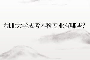 湖北大学成考本科专业有哪些?