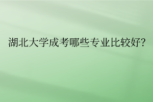 湖北大学成考哪些专业比较好?