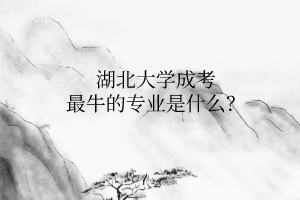 湖北大学成考最牛的专业是什么?