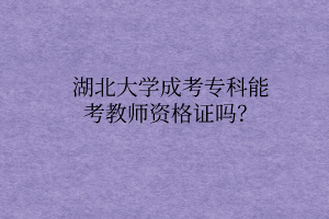 湖北大学成考专科能考教师资格证吗？