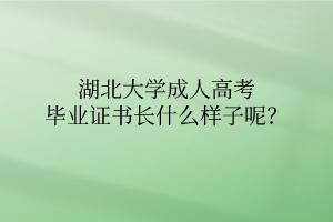 湖北大学成人高考毕业证书长什么样子呢?