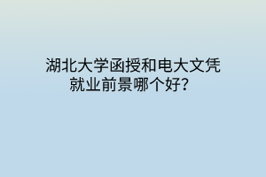 湖北大学函授和电大文凭就业前景哪个好？