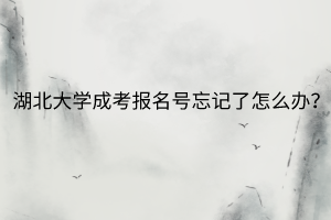 湖北大学成考报名号忘记了怎么办?