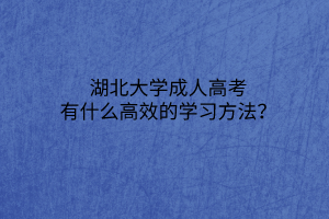 湖北大学成人高考有什么高效的学习方法?