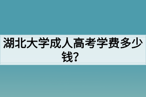 湖北大学成人高考学费多少钱?