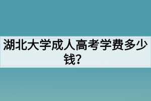 湖北大学成人高考学费多少钱？