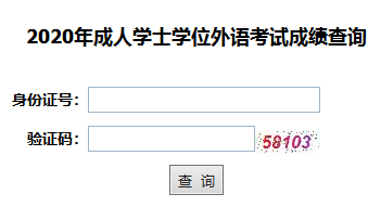 2020年湖北大学成人高考学位英语成绩查询入口