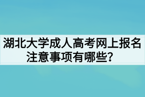 湖北大学成人高考网上报名注意事项有哪些?