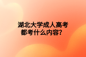 湖北大学成人高考都考什么内容?