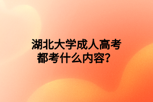 湖北大学成人高考都考什么内容？