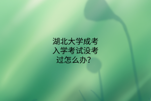 湖北大学成考入学考试没考过怎么办?