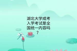 湖北大学成考入学考试是全国统一内容吗?